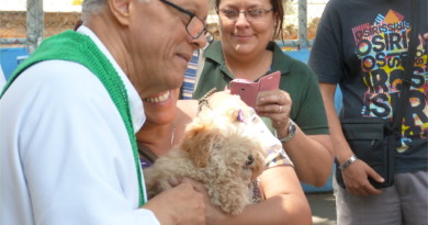 ¡Bendice a tu mascota! APROA invita a Misa en honor a San Francisco de Asís