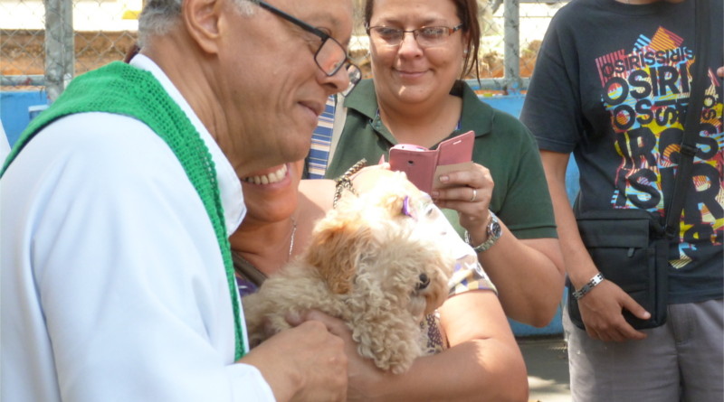 ¡Bendice a tu mascota! APROA invita a Misa en honor a San Francisco de Asís