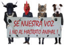 Canales para denunciar casos de maltrato animal en Caracas: conozca las sanciones actuales