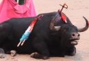 ADEA y APROA condenaron asistencia de menores a corridas de toros en LVIII Feria de San Sebastián