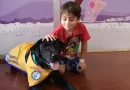 Perros sanadores: Hospital Garrahan se implementó terapia asistida con animales