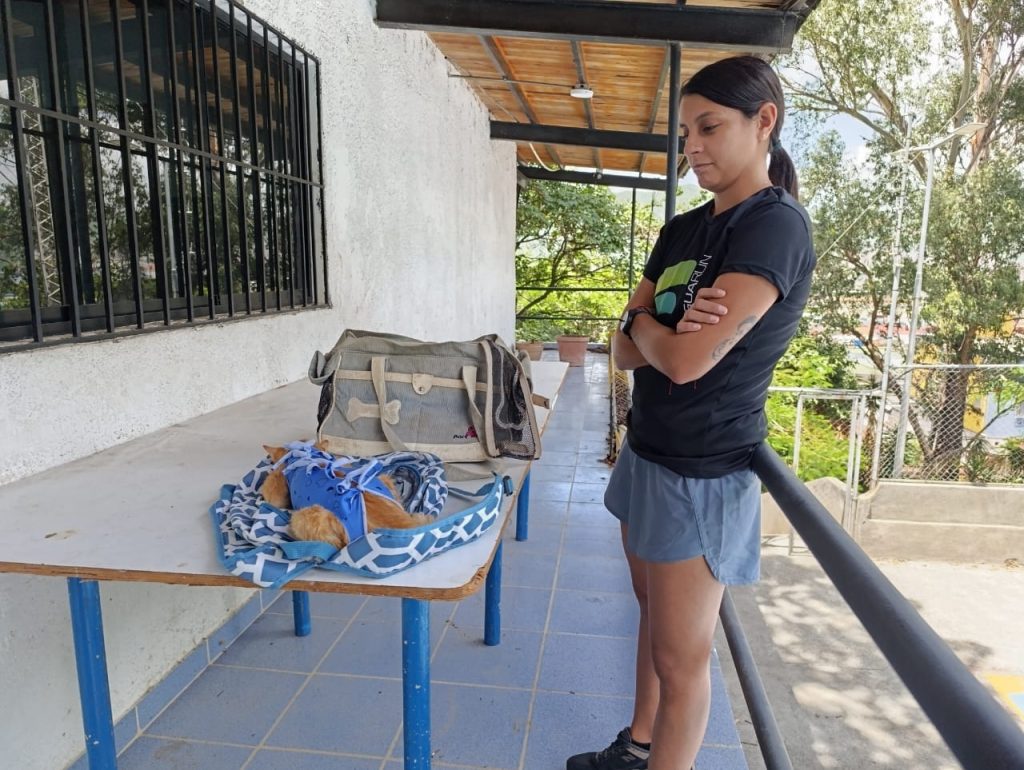 Jornada de Esterilización Aproa Parque Aquiles Nazoa