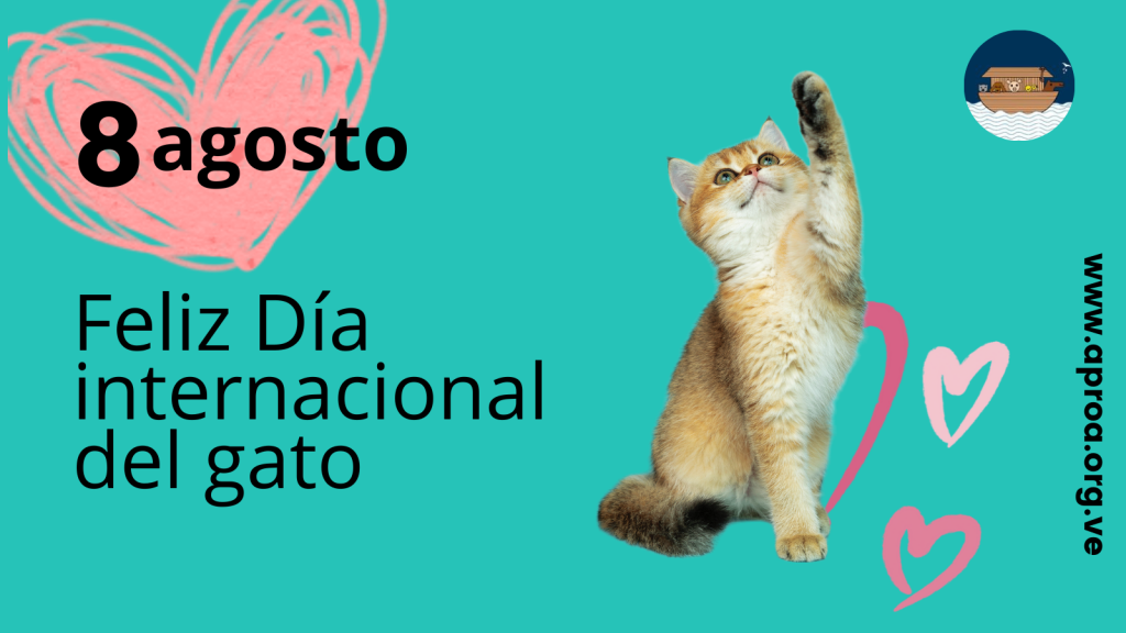Día Mundial del Gato