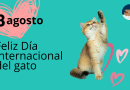 Día Mundial del Gato