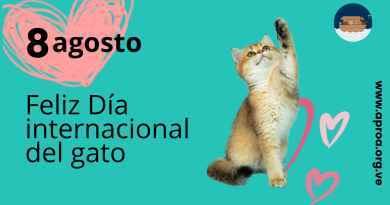 Día Mundial del Gato