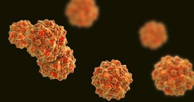 Parvovirus