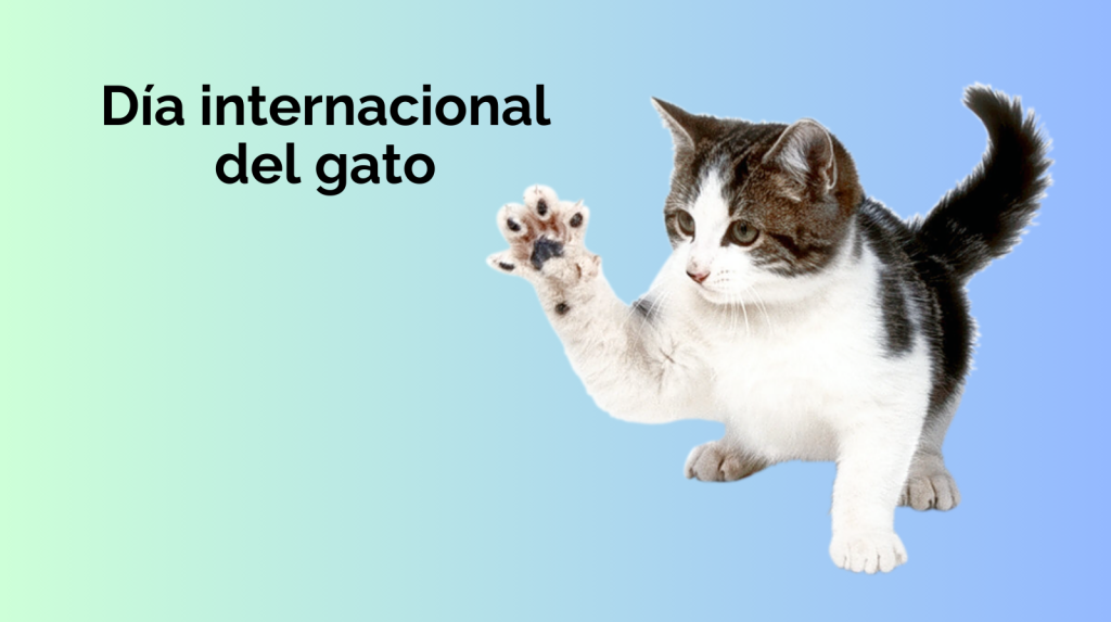 Día Internacional del Gato