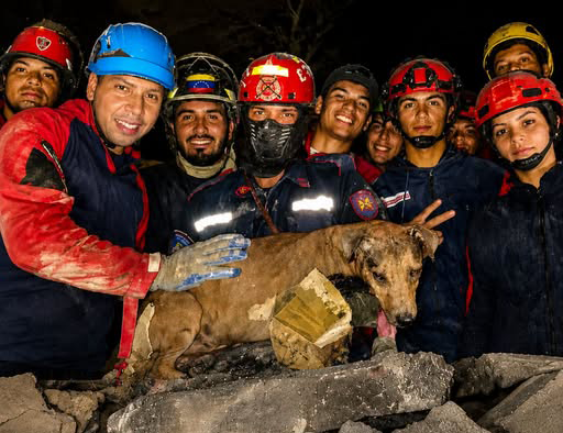 Un grupo de bomberos venezolanos con cascos de seguridad de colores (rojo, azul, amarillo) se agrupa de noche detrás de un montón de escombros de concreto colapsado. En el centro, un perro marrón claro asustado está siendo sostenido y rescatado de entre los escombros por sus manos cubiertas de guantes.