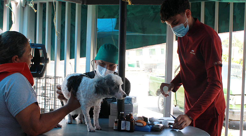 Un veterinario de Aproa con mascarilla y gorro examina con un estetoscopio a un perro mestizo blanco y gris sobre una mesa improvisada en el exterior del "Hospital McDonald's" en Caraballeda. A la izquierda, una mujer sostiene al animal mientras un asistente veterinario con uniforme granate prepara insumos médicos. Hay botellas de medicina sobre la mesa.