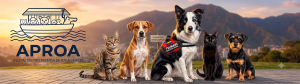 Encabezado de APROA con su logotipo oficial, acompañado del perro rescatista Tsunami y un grupo de perros y gatos criollos hiperrealistas, con la ciudad de Caracas y El Ávila de fondo.