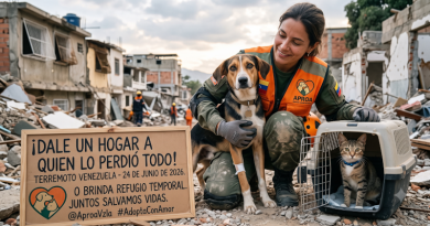 Llena el formulario para ofrecer un hogar temporal a las víctimas del doble terremoto de Venezuela