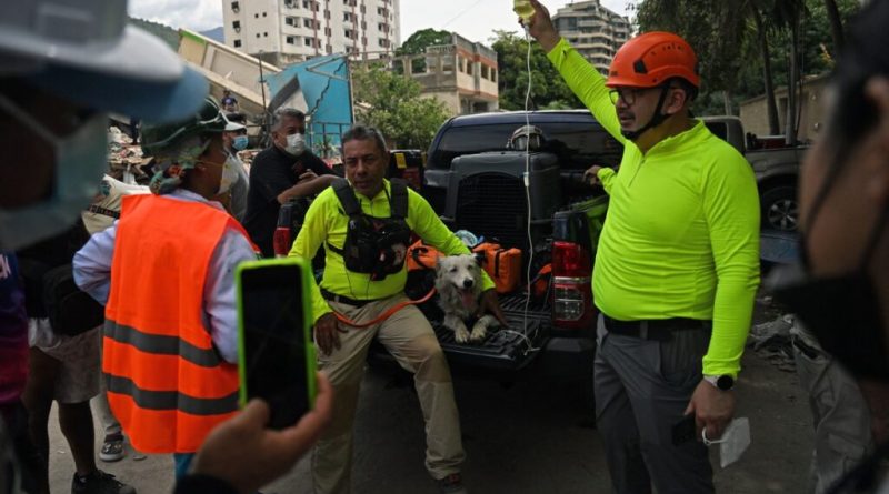 El rescatista Jorge Beens, vestido con camisa amarilla de manga larga y arnés de rescate, acaricia al perro de búsqueda Tsunami mientras este descansa en la plataforma de una camioneta pickup negra en La Guaira. A la derecha, otro rescatista con casco naranja sostiene en alto una bolsa de suero intravenoso conectada al perro. En el fondo se aprecian edificios multifamiliares y estructuras colapsadas por el terremoto.