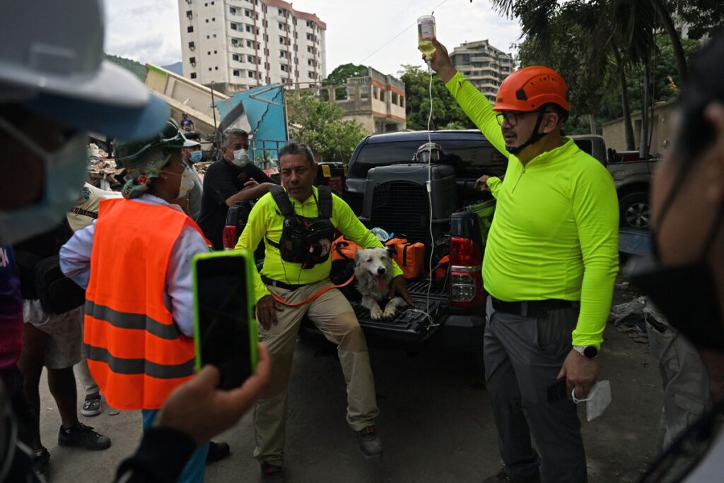 El rescatista Jorge Beens, vestido con camisa amarilla de manga larga y arnés de rescate, acaricia al perro de búsqueda Tsunami mientras este descansa en la plataforma de una camioneta pickup negra en La Guaira. A la derecha, otro rescatista con casco naranja sostiene en alto una bolsa de suero intravenoso conectada al perro. En el fondo se aprecian edificios multifamiliares y estructuras colapsadas por el terremoto.