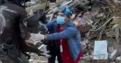 Un médico veterinario con guantes, mascarilla quirúrgica y gorro médico recibe entre sus manos a la perrita negra Luz Clarita, quien le es entregada por un funcionario de rescate uniformado. En el fondo se aprecia la zona cero cubierta por montañas de escombros, hierros y concreto colapsado.