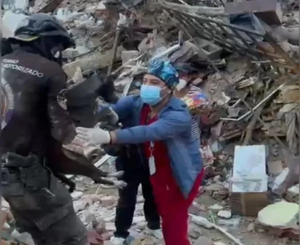 Un médico veterinario con guantes, mascarilla quirúrgica y gorro médico recibe entre sus manos a la perrita negra Luz Clarita, quien le es entregada por un funcionario de rescate uniformado. En el fondo se aprecia la zona cero cubierta por montañas de escombros, hierros y concreto colapsado.