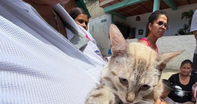Jornada de Esterilización y Castración en San Julián: La Guaira nos necesita