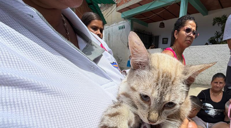 Jornada de Esterilización y Castración en San Julián: La Guaira nos necesita